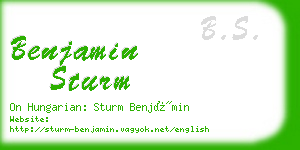 benjamin sturm business card